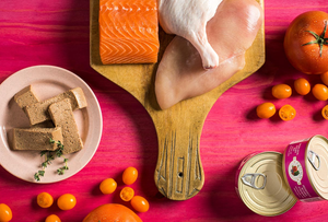 Conserve pour chat Fromm Four Stars- Caisse de 12- Pâté de poulet, canard et saumon 5.5oz