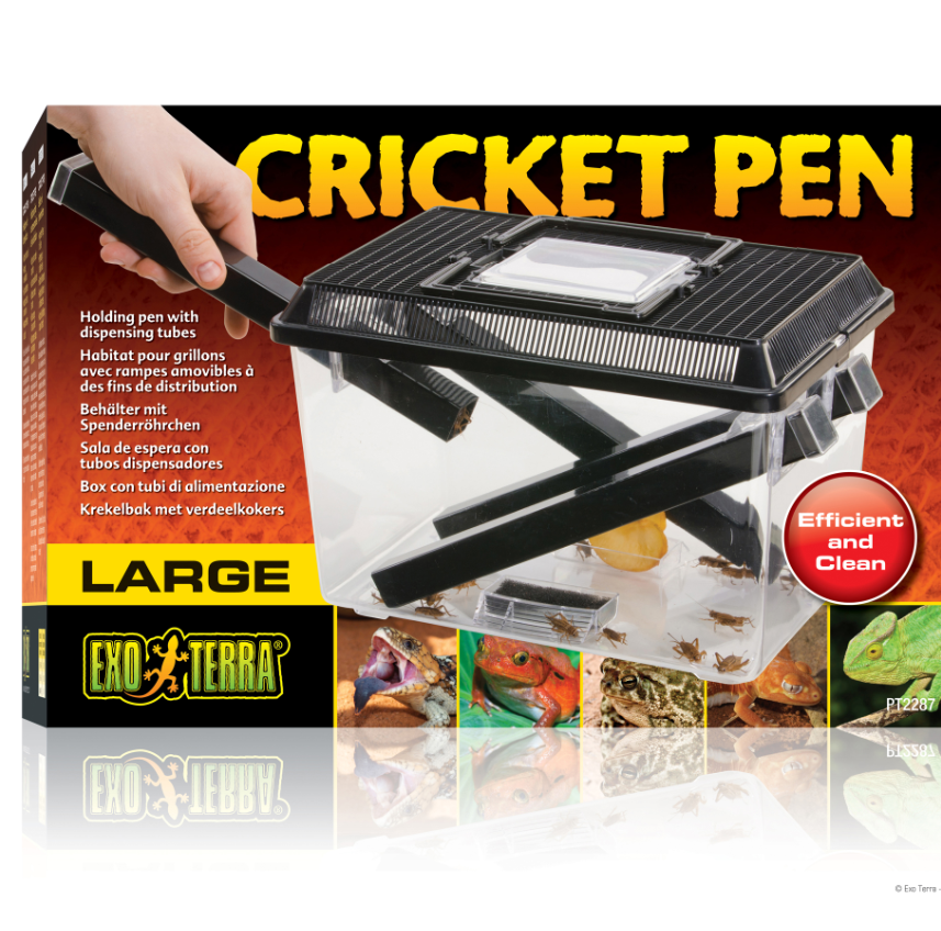 Habitat pour grillons Cricket Pen, grand, 30 x 20,5 x 19,5 cm