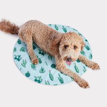 Charger l&#39;image dans la galerie, ICE MAT™ - Tapis de refroidissement - Cactus aqua
