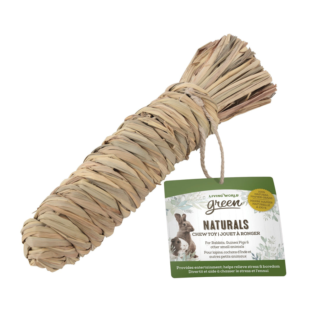 Jouet Carotte à Ronger pour Rongeurs – Living World Green Naturals