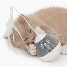 Charger l&#39;image dans la galerie, Toupie Pixi - Jouet interactif pour chat - Catit Design
