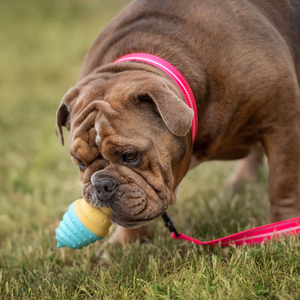 ICE TOY™ - Jouet rafraîchissant pour chien avec cône de glace | Cornet Fraise