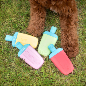 ICE TOY™ - Jouet rafraîchissant pour chien avec cône de glace | Popsicle Pastèque