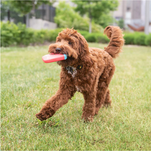 ICE TOY™ - Jouet rafraîchissant pour chien avec cône de glace | Popsicle Lime