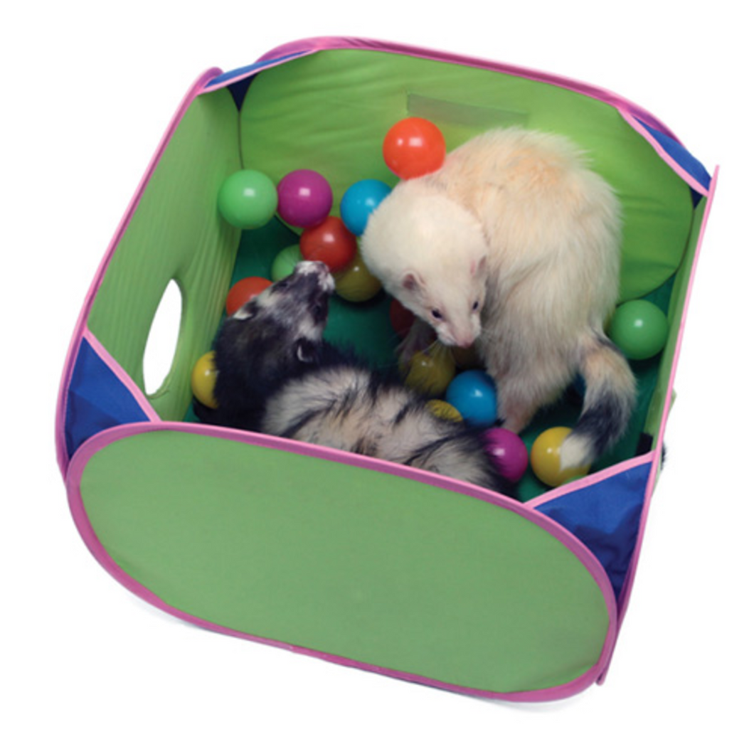 Jeu de Balles Pop N Play pour Furet – Marshall