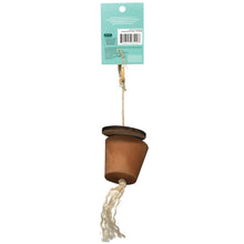 Charger l&#39;image dans la galerie, Oxbow Enriched Life - Centre Interactif Pour Rongeur, Pot De Fourrage
