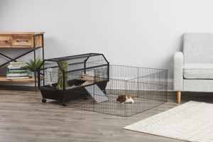 Oxbow Enriched Life Habitat Avec Terrain De Jeu