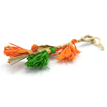 Charger l&#39;image dans la galerie, Oxbow Enriched Life - Gâterie à Mâcher Pour Rongeur, Jouet Tressé Coloré à Suspendre
