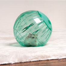 Charger l&#39;image dans la galerie, Oxbow Enriched Life - Jeu D&#39;excercise Pour Rongeur, Balle Courir Partout
