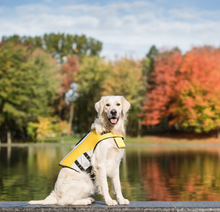 Charger l&#39;image dans la galerie, Veste de flottaison pour chien (XS) - Life Jacket - GF Pet
