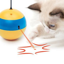 Charger l&#39;image dans la galerie, Abeille culbuto Catit Play 2.0 - Boutique Le Jardin Des Animaux -Jouet chatBoutique Le Jardin Des Animaux43165
