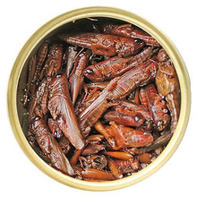 Charger l&#39;image dans la galerie, Aliments en conserve Exo Terra, Sauterelles, 34 g (1,2 oz) - Boutique Le Jardin Des Animaux -nourriture reptileBoutique Le Jardin Des AnimauxPT1950
