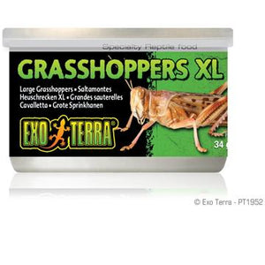 Aliments en conserve Exo Terra, Sauterelles, très grandes, 34 g (1,2 oz) - Boutique Le Jardin Des Animaux -nourriture reptileBoutique Le Jardin Des AnimauxPT1952