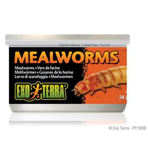 Aliments en conserve Exo Terra, Vers de farine, 34 g (1,2 oz) - Boutique Le Jardin Des Animaux -nourriture reptileBoutique Le Jardin Des AnimauxPT1958