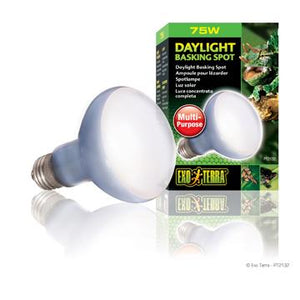 Ampoule à lumière du jour Exo Terra pour lézarder, R20, 75 W - Boutique Le Jardin Des Animaux -Eclairage reptileBoutique Le Jardin Des AnimauxPT2132
