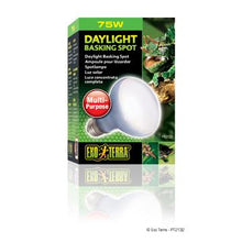 Charger l&#39;image dans la galerie, Ampoule à lumière du jour Exo Terra pour lézarder, R20, 75 W - Boutique Le Jardin Des Animaux -Eclairage reptileBoutique Le Jardin Des AnimauxPT2132

