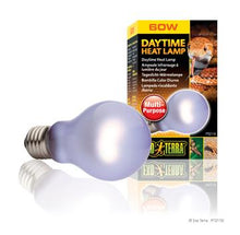 Charger l&#39;image dans la galerie, Ampoule incandescente Sun Glo Exo Terra à lumière du jour, A19/60 W - Boutique Le Jardin Des Animaux -Eclairage reptileBoutique Le Jardin Des AnimauxPT2110
