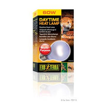 Charger l&#39;image dans la galerie, Ampoule incandescente Sun Glo Exo Terra à lumière du jour, A19/60 W - Boutique Le Jardin Des Animaux -Eclairage reptileBoutique Le Jardin Des AnimauxPT2110
