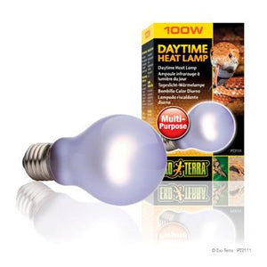Ampoule infrarouge Exo Terra à lumière du jour, A19, 100 W - Boutique Le Jardin Des Animaux -Eclairage reptileBoutique Le Jardin Des AnimauxPT2111