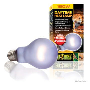 Ampoule infrarouge Exo Terra à lumière du jour, A21, 150 W - Boutique Le Jardin Des Animaux -Eclairage reptileBoutique Le Jardin Des AnimauxPT2114