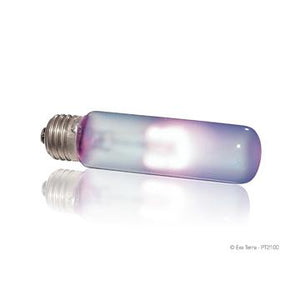 Ampoule infrarouge Exo Terra à lumière du jour, T10/15 W - Boutique Le Jardin Des Animaux -Eclairage reptileBoutique Le Jardin Des AnimauxPT2100