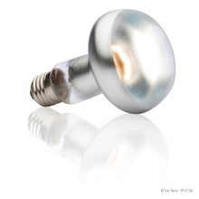 Charger l&#39;image dans la galerie, Ampoule Intense Exo Terra pour lézarder, S30, 150 W - Boutique Le Jardin Des Animaux -Eclairage reptileBoutique Le Jardin Des AnimauxPT2140
