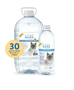 Cat Water - Boutique Le Jardin Des Animaux -SoinsBoutique Le Jardin Des AnimauxCW60100