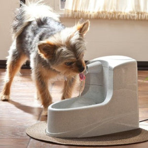 Drinkwell Mini fontaine pour animaux - Boutique Le Jardin Des Animaux -AbreuvoirBoutique Le Jardin Des AnimauxM14597