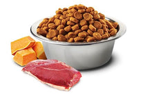 Charger l'image dans la galerie, FARMINA N&amp;D, CANARD, POTIRON &amp; MELON POUR CHAT ADULTE - Boutique Le Jardin Des Animaux -Nourriture chatBoutique Le Jardin Des Animaux
