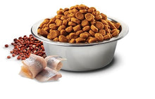 Charger l&#39;image dans la galerie, FARMINA SANS GRAINS QUINOA ET HARANG, PEAU &amp; POILS, POUR CHAT ADULTE - Boutique Le Jardin Des Animaux -Nourriture chatBoutique Le Jardin Des AnimauxFA03581
