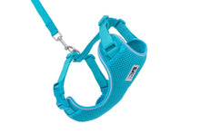 Charger l&#39;image dans la galerie, Harnais pour chat Bleu - ADVENTURE KITTY HARNESS - RC Pets - Boutique Le Jardin Des Animaux -CollierBoutique Le Jardin Des Animaux
