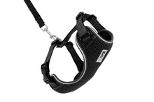 Charger l&#39;image dans la galerie, Harnais pour chat Noir - ADVENTURE KITTY HARNESS - RC Pets - Boutique Le Jardin Des Animaux -CollierBoutique Le Jardin Des Animaux538 - 001 Black
