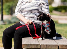 Charger l&#39;image dans la galerie, Harnais pour chat Rose - ADVENTURE KITTY HARNESS - RC Pets - Boutique Le Jardin Des Animaux -CollierBoutique Le Jardin Des Animaux
