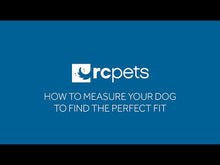 Charger et lire la vidéo dans la visionneuse de la Galerie, RC Pet Harnais de contrôle Momentum Noir
