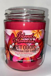 Chandelle désodorisante Islande Plumeria Pet Odor Exterminator, pot de 13 oz
