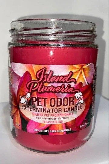 Chandelle désodorisante Islande Plumeria Pet Odor Exterminator, pot de 13 oz