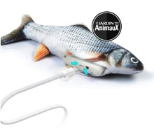 Charger l&#39;image dans la galerie, Jouet pour chat poisson dansant - Boutique Le Jardin Des Animaux -Jouet chatBoutique Le Jardin Des Animauxvp1568
