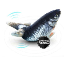 Charger l&#39;image dans la galerie, Jouet pour chat poisson dansant - Boutique Le Jardin Des Animaux -Jouet chatBoutique Le Jardin Des Animauxvp1568
