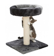 Charger l&#39;image dans la galerie, Junior Arbre à chat Tarifa - Trixie - Boutique Le Jardin Des Animaux -Griffoir, meuble et litBoutique Le Jardin Des AnimauxTRE43712
