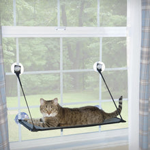 Charger l&#39;image dans la galerie, K&amp;H \ Kitty Sill - EZ Window Mount, Tablette de bord de fenêtre pour chat - Boutique Le Jardin Des Animaux -Griffoir, meuble et litBoutique Le Jardin Des Animaux122-09091
