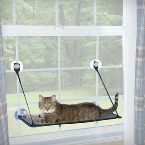 K&H \ Kitty Sill - EZ Window Mount, Tablette de bord de fenêtre pour chat - Boutique Le Jardin Des Animaux -Griffoir, meuble et litBoutique Le Jardin Des Animaux122-09091