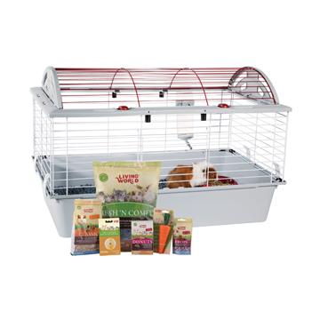 Living World Cage de luxe équipée pour Cochon d'inde - Boutique Le Jardin Des Animaux -Habitat pour petit mammifèreBoutique Le Jardin Des Animaux61795