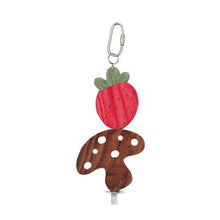 Charger l&#39;image dans la galerie, Living World Nibblers jouet à gruger fraise et champignon en bois sur tige pour petits mammifères - Boutique Le Jardin Des Animaux -Gâterie petit mammifèreBoutique Le Jardin Des Animaux61475
