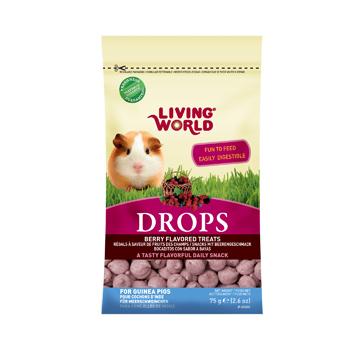 Living World Régal drops aux fruits des champs pour cochons d'inde - Boutique Le Jardin Des Animaux -Gâterie petit mammifèreBoutique Le Jardin Des Animaux60406