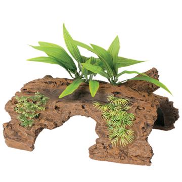 Marina ornement Demi rondin de bois de grève de Malaisie avec plantes - Boutique Le Jardin Des Animaux -DécorationBoutique Le Jardin Des Animaux12260