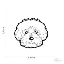 Charger l&#39;image dans la galerie, Médaille pour chien collection Friends, BICHON BOLONAIS - Boutique Le Jardin Des Animaux -médailleBoutique Le Jardin Des AnimauxMF11N
