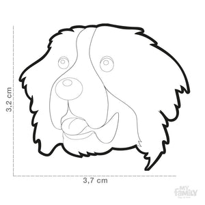 Médaille pour chien collection Friends, BOUVIER BERNOIS - Boutique Le Jardin Des Animaux -médailleBoutique Le Jardin Des AnimauxMF09
