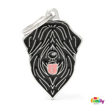 Charger l&#39;image dans la galerie, Médaille pour chien collection Friends, BOUVIER DES FLANDRES, TERRIER RUSSE - Boutique Le Jardin Des Animaux -médailleBoutique Le Jardin Des AnimauxMF101
