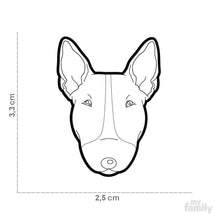 Charger l&#39;image dans la galerie, Médaille pour chien collection Friends, BULL TERRIER, Couleurs variées - Boutique Le Jardin Des Animaux -médailleBoutique Le Jardin Des AnimauxMF21BROWN
