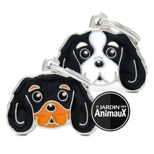 Charger l&#39;image dans la galerie, Médaille pour chien collection Friends, CAVALIER KING, Couleurs variées - Boutique Le Jardin Des Animaux -médailleBoutique Le Jardin Des AnimauxMF22COLORED3
